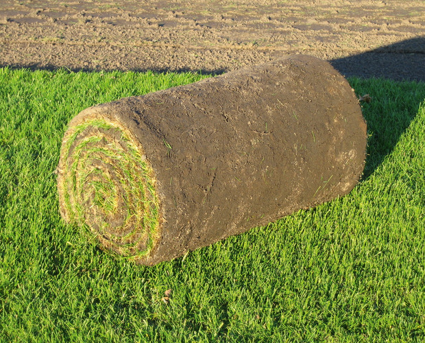 graszoden op rol