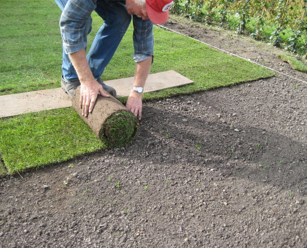 grasmatten laten plaatsen
