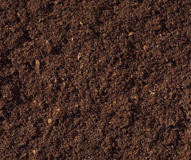 beroepspotgrond Professionele kwaliteitspotgrond 