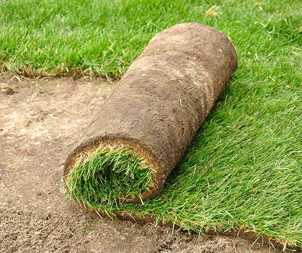 grasmatten Graszoden